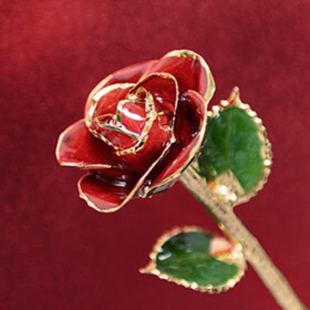 24 K Gold-Dipped Rose by I hate Steven Singer